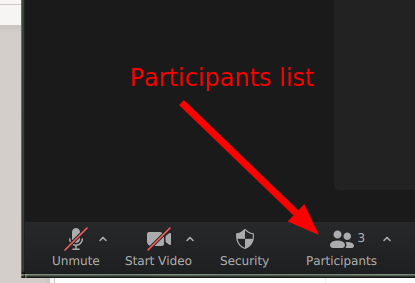 participants list button at bottom