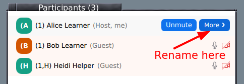 participants list button at bottom